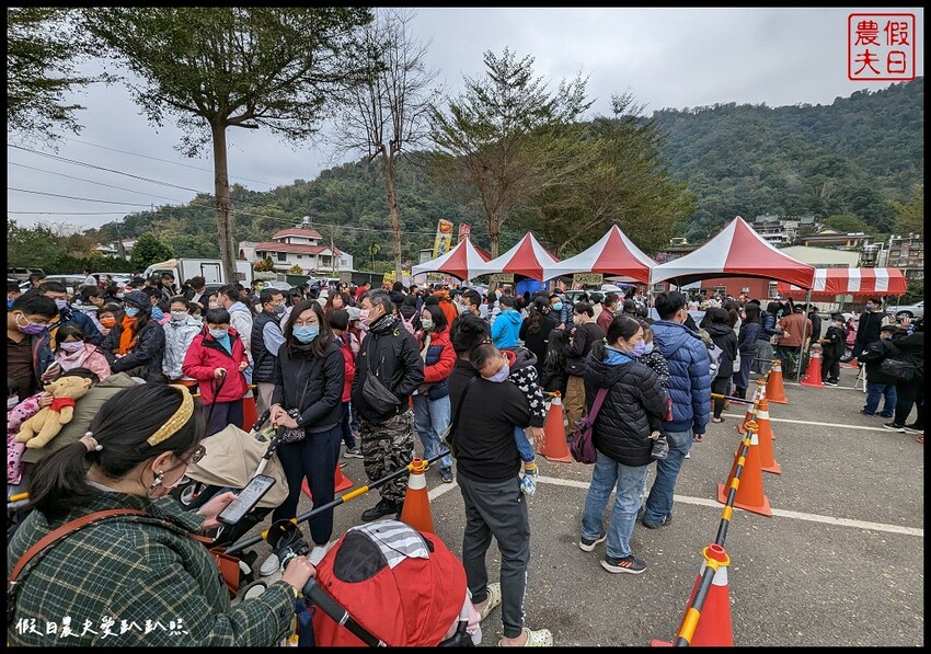 2023埔里森林逐燈祭|松果提燈探哲學之路秘境/最有山城特色的燈會 @假日農夫愛趴趴照