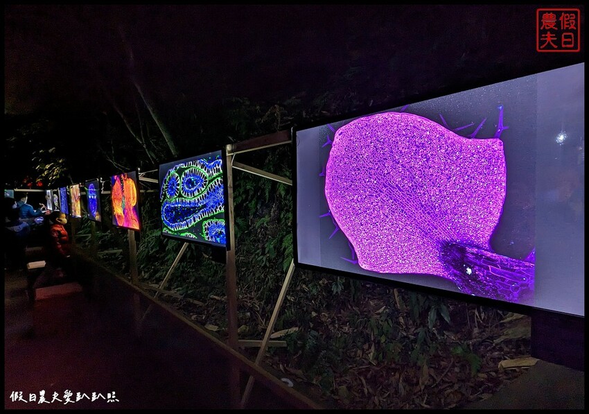 2023埔里森林逐燈祭|松果提燈探哲學之路秘境/最有山城特色的燈會 @假日農夫愛趴趴照