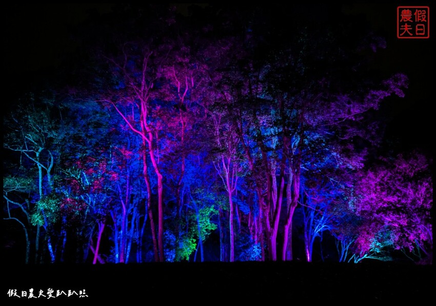 2023埔里森林逐燈祭|松果提燈探哲學之路秘境/最有山城特色的燈會 @假日農夫愛趴趴照