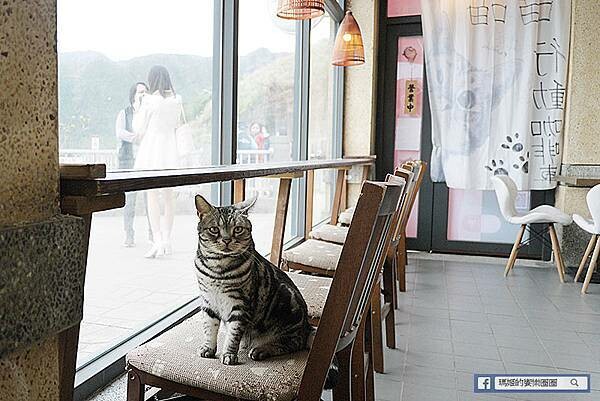 基隆一日遊行程推薦【北觀處掀風潮-聲漫數位藝術特展】湖海灣/情人湖/和平島地質公園-水路串聯遊基隆