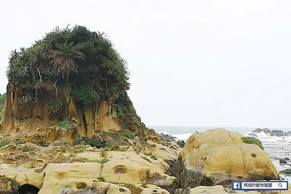 基隆一日遊行程推薦【北觀處掀風潮-聲漫數位藝術特展】湖海灣/情人湖/和平島地質公園-水路串聯遊基隆