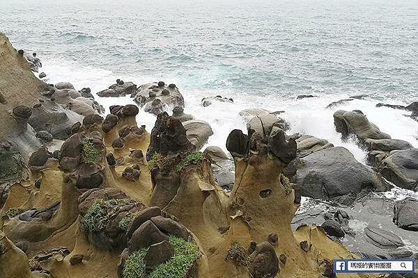 基隆一日遊行程推薦【北觀處掀風潮-聲漫數位藝術特展】湖海灣/情人湖/和平島地質公園-水路串聯遊基隆