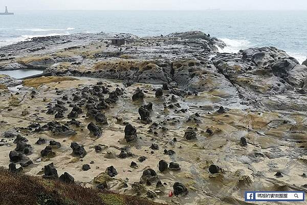基隆一日遊行程推薦【北觀處掀風潮-聲漫數位藝術特展】湖海灣/情人湖/和平島地質公園-水路串聯遊基隆