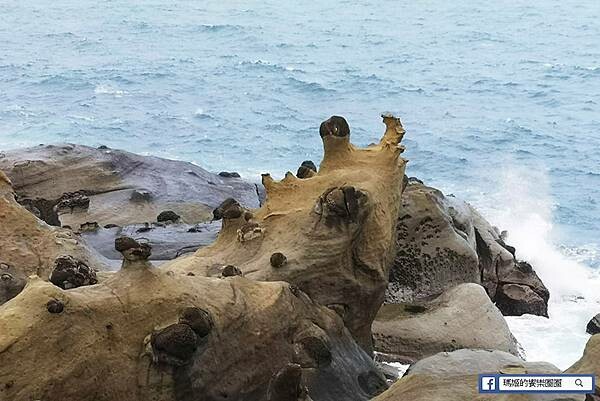 基隆一日遊行程推薦【北觀處掀風潮-聲漫數位藝術特展】湖海灣/情人湖/和平島地質公園-水路串聯遊基隆