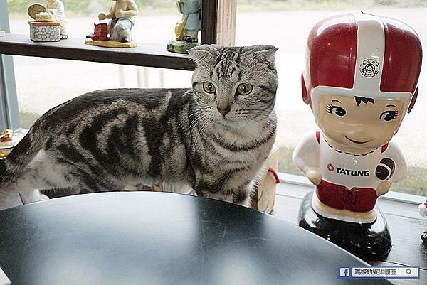 基隆一日遊行程推薦【北觀處掀風潮-聲漫數位藝術特展】湖海灣/情人湖/和平島地質公園-水路串聯遊基隆