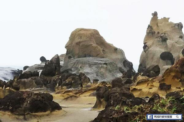 基隆一日遊行程推薦【北觀處掀風潮-聲漫數位藝術特展】湖海灣/情人湖/和平島地質公園-水路串聯遊基隆