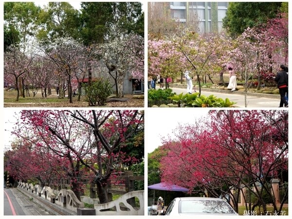 沙發后花園，公益團體、親子旅遊餐廳–焢窯／輕旅行／食農教育。