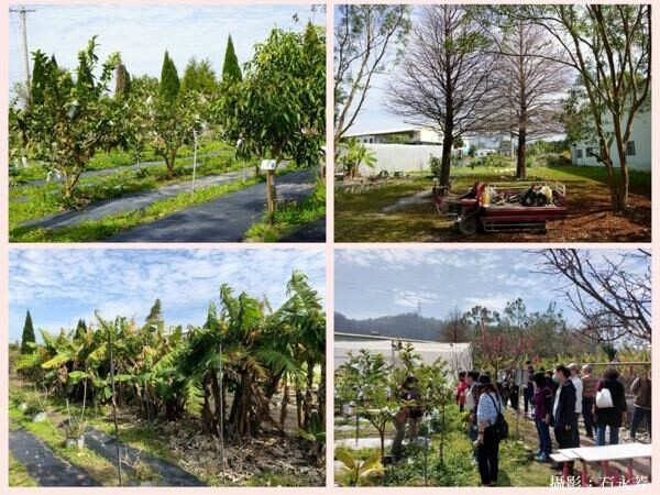 沙發后花園，公益團體、親子旅遊餐廳–焢窯／輕旅行／食農教育。