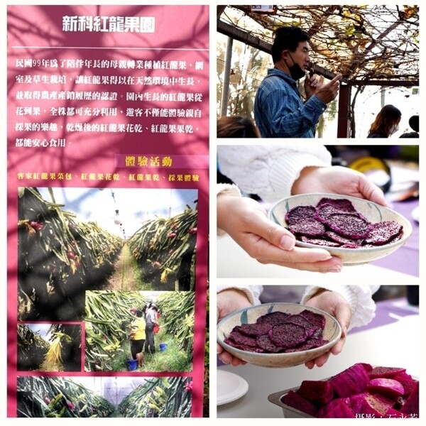 【彰化。旅遊】二林特色農業一日遊-拜訪釀酒葡萄與紅龍果的故鄉 - 鯨吞饞石