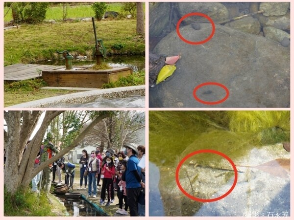 沙發后花園，公益團體、親子旅遊餐廳–焢窯／輕旅行／食農教育。