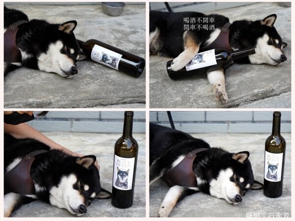 【彰化。旅遊】二林特色農業一日遊-拜訪釀酒葡萄與紅龍果的故鄉 - 鯨吞饞石