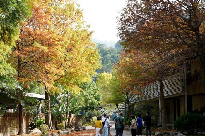沙發后花園，公益團體、親子旅遊餐廳–焢窯／輕旅行／食農教育。