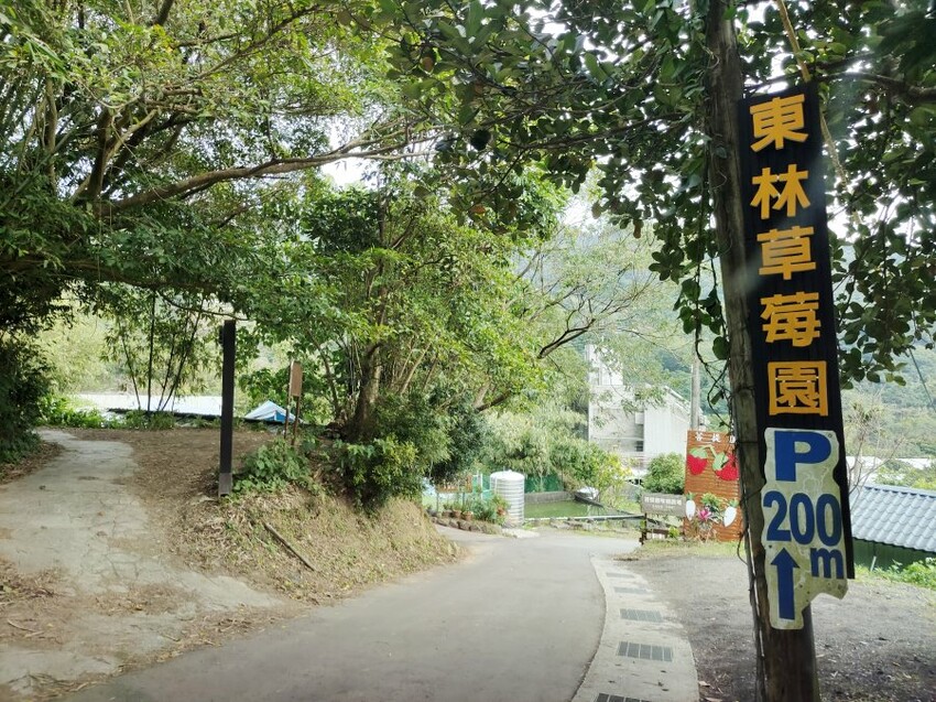 【台北內湖】東林草莓園．採草莓+果醬DIY+手繪鬆餅超促咪!