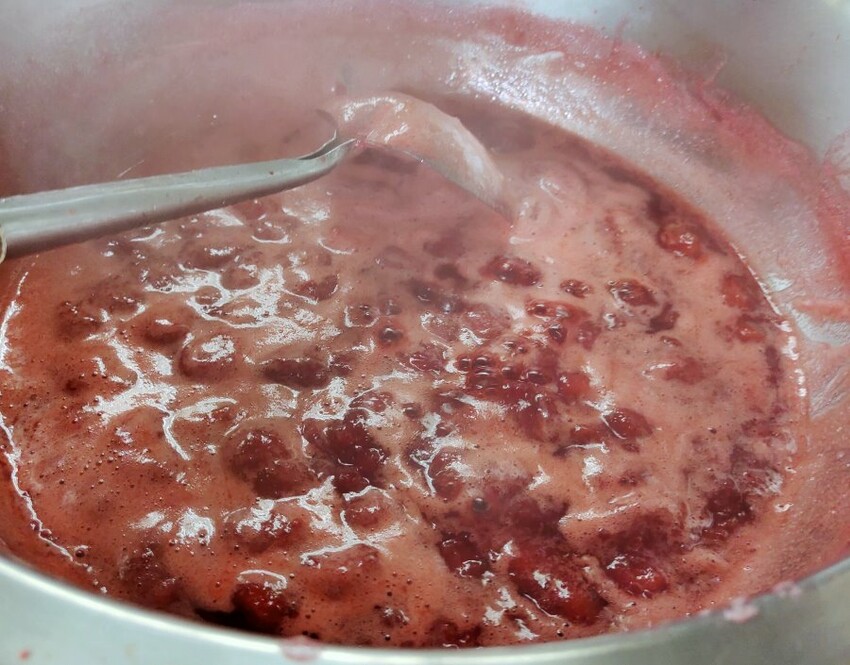 【台北內湖】東林草莓園．採草莓+果醬DIY+手繪鬆餅超促咪!