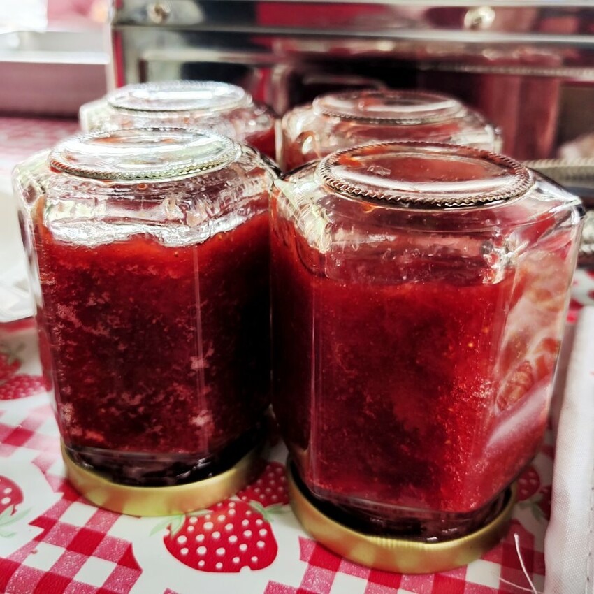 【台北內湖】東林草莓園．採草莓+果醬DIY+手繪鬆餅超促咪!