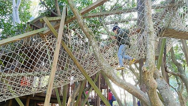 【嘉義景點】民雄金桔觀光工廠｜免門票！小朋友也可以玩到瘋的親子觀光工廠