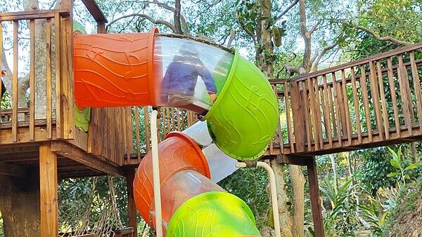 【嘉義景點】民雄金桔觀光工廠｜免門票！小朋友也可以玩到瘋的親子觀光工廠