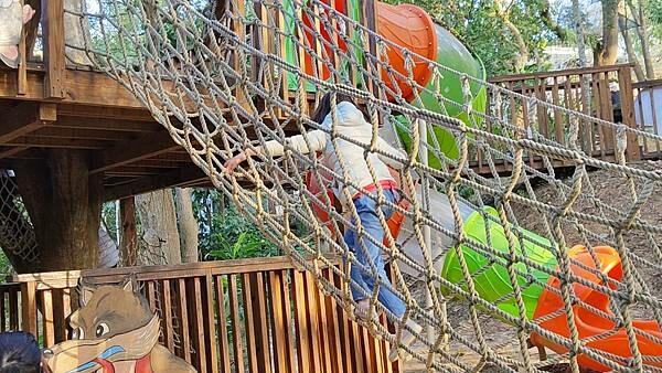 【嘉義景點】民雄金桔觀光工廠｜免門票！小朋友也可以玩到瘋的親子觀光工廠