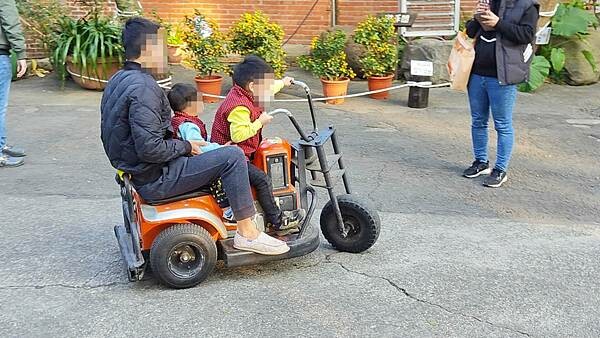 【嘉義景點】民雄金桔觀光工廠｜免門票！小朋友也可以玩到瘋的親子觀光工廠