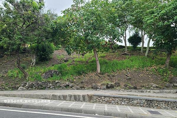 【台東/東河】水往上流