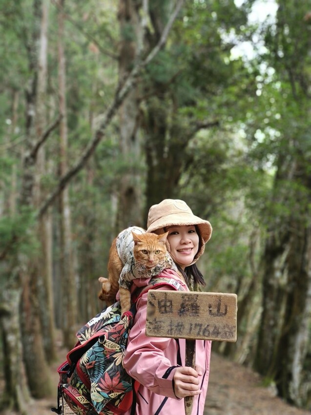 34590.jpg - 【新竹.五峰】油羅山標高1764公尺中級山。林相很美媲美高島三角點無展望。陡上陡下頗濕滑不適合帶寵物 34590.jpg - 【新竹.五峰】油羅山標高1764公尺中級山。林相很美媲美高島三角點無展望。陡上陡下頗濕滑不適合帶寵物