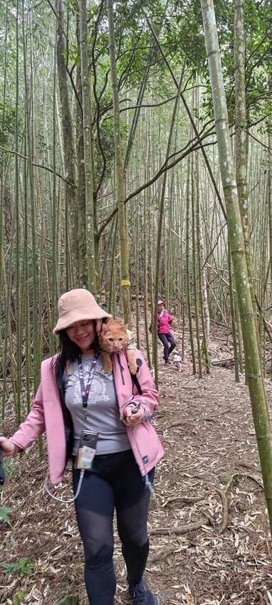 34570.jpg - 【新竹.五峰】油羅山標高1764公尺中級山。林相很美媲美高島三角點無展望。陡上陡下頗濕滑不適合帶寵物 34570.jpg - 【新竹.五峰】油羅山標高1764公尺中級山。林相很美媲美高島三角點無展望。陡上陡下頗濕滑不適合帶寵物