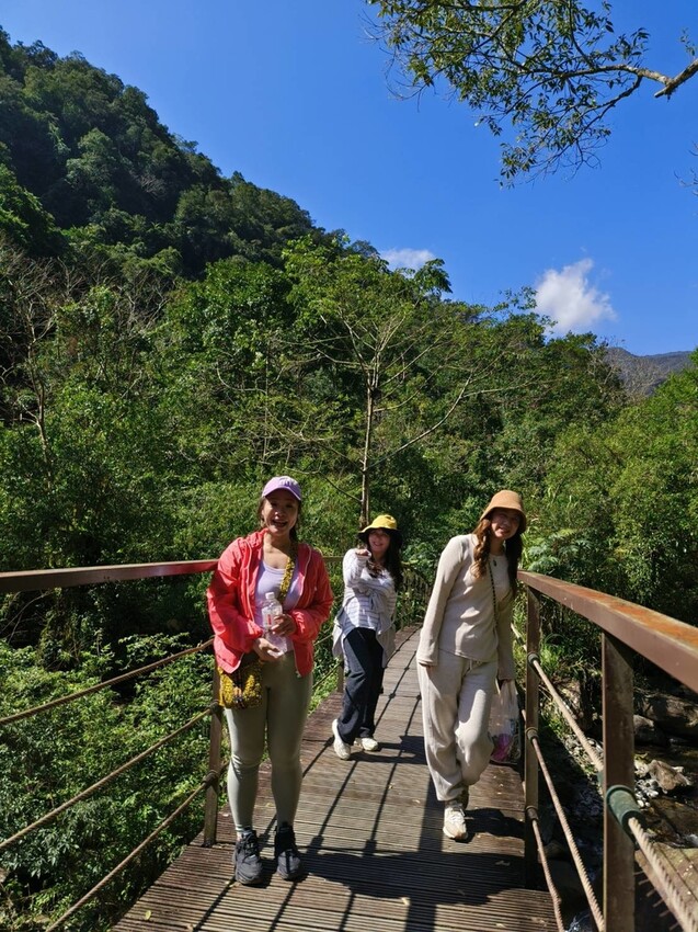 31430.jpg - 【宜蘭】松羅國家步道。平緩好走森林感十足。蕨類植物超級多像隧道的場景超好拍