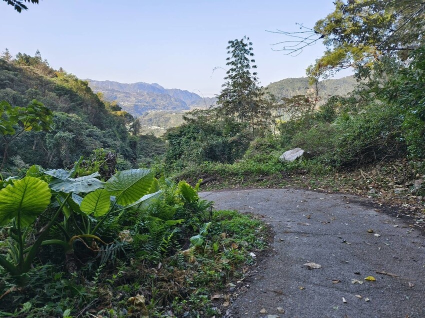 27677.jpg - 【台中.谷關】初次挑戰谷關七雄之一老六白毛山。山頂展望很棒。攜帶辛巴上山 27677.jpg - 【台中.谷關】初次挑戰谷關七雄之一老六白毛山。山頂展望很棒。攜帶辛巴上山