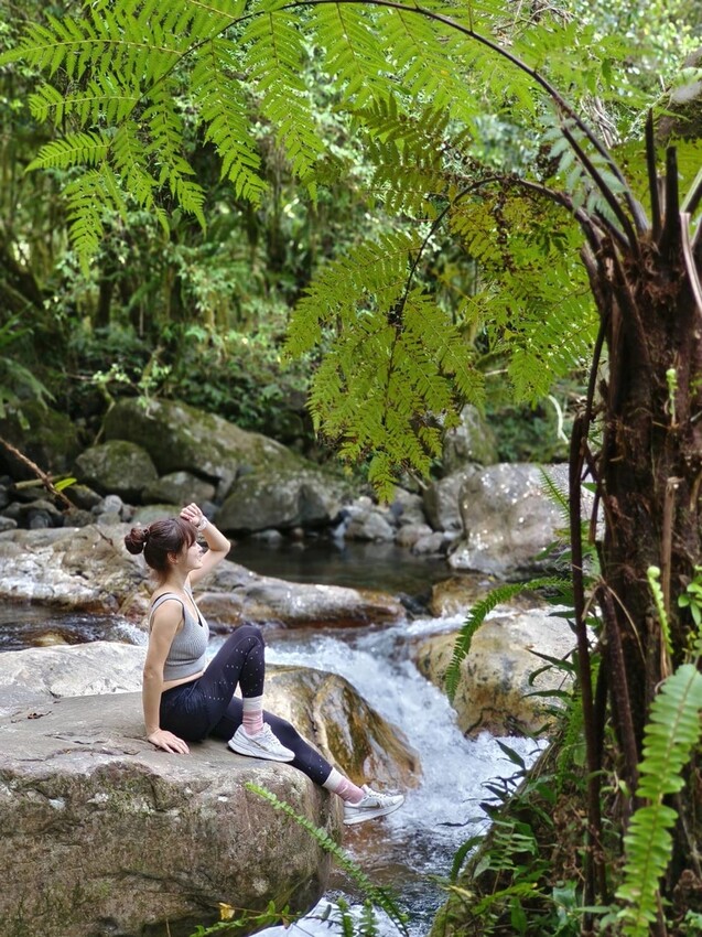 31410.jpg - 【宜蘭】松羅國家步道。平緩好走森林感十足。蕨類植物超級多像隧道的場景超好拍