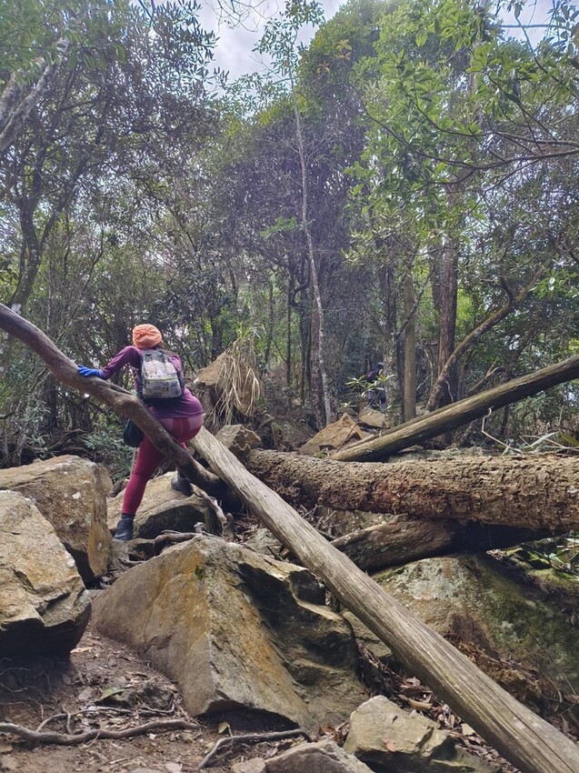 27668.jpg - 【台中.谷關】初次挑戰谷關七雄之一老六白毛山。山頂展望很棒。攜帶辛巴上山 27668.jpg - 【台中.谷關】初次挑戰谷關七雄之一老六白毛山。山頂展望很棒。攜帶辛巴上山