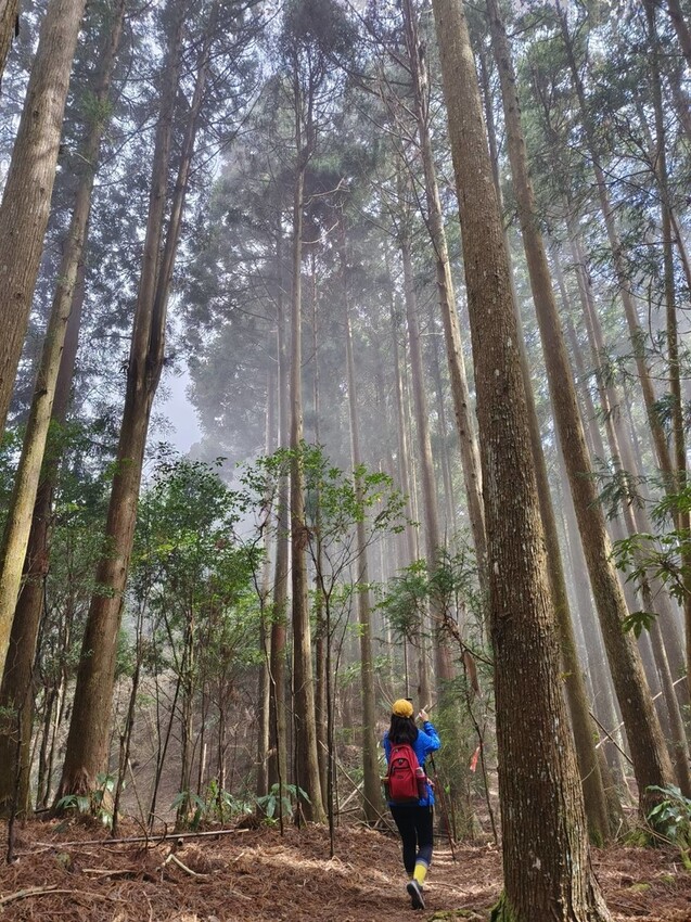 油羅山步道 / WalkerLand窩客島整理提供 未經許可不可轉載