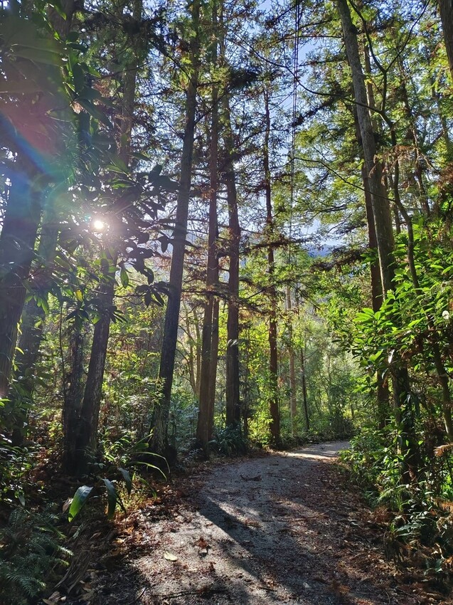 27678.jpg - 【台中.谷關】初次挑戰谷關七雄之一老六白毛山。山頂展望很棒。攜帶辛巴上山 27678.jpg - 【台中.谷關】初次挑戰谷關七雄之一老六白毛山。山頂展望很棒。攜帶辛巴上山