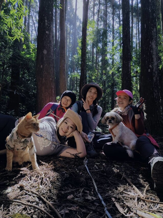 34673.jpg - 【新竹.五峰】油羅山標高1764公尺中級山。林相很美媲美高島三角點無展望。陡上陡下頗濕滑不適合帶寵物 34673.jpg - 【新竹.五峰】油羅山標高1764公尺中級山。林相很美媲美高島三角點無展望。陡上陡下頗濕滑不適合帶寵物