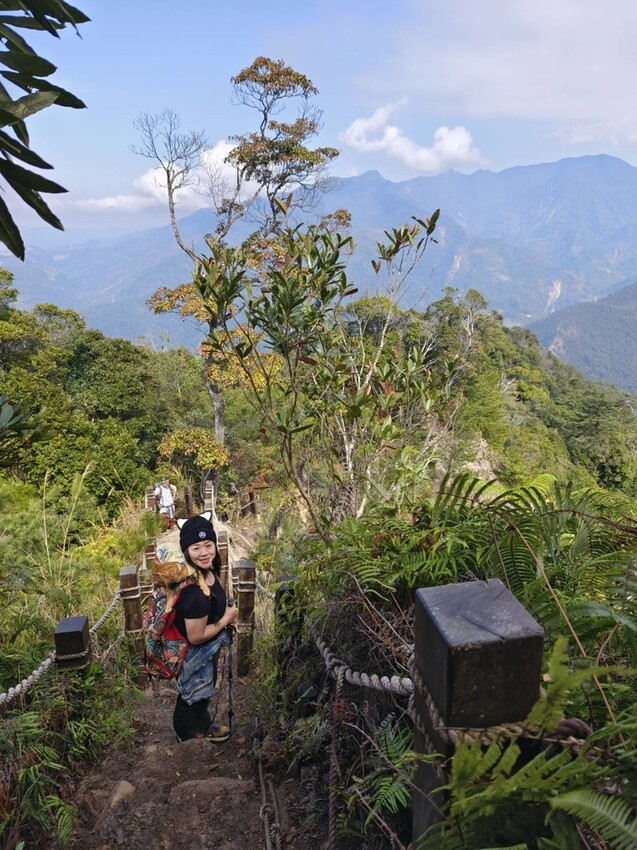 27664.jpg - 【台中.谷關】初次挑戰谷關七雄之一老六白毛山。山頂展望很棒。攜帶辛巴上山 27664.jpg - 【台中.谷關】初次挑戰谷關七雄之一老六白毛山。山頂展望很棒。攜帶辛巴上山