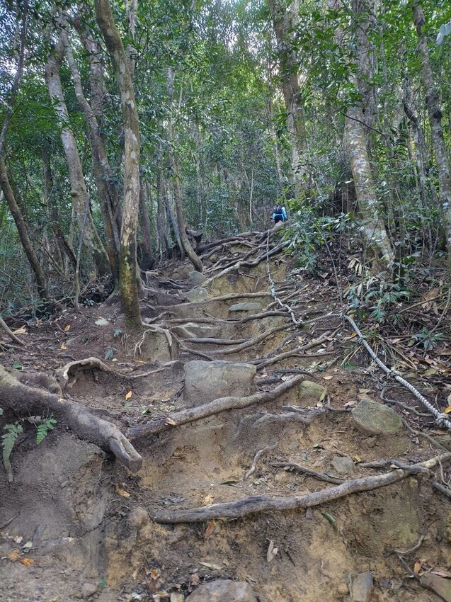 27670.jpg - 【台中.谷關】初次挑戰谷關七雄之一老六白毛山。山頂展望很棒。攜帶辛巴上山 27670.jpg - 【台中.谷關】初次挑戰谷關七雄之一老六白毛山。山頂展望很棒。攜帶辛巴上山