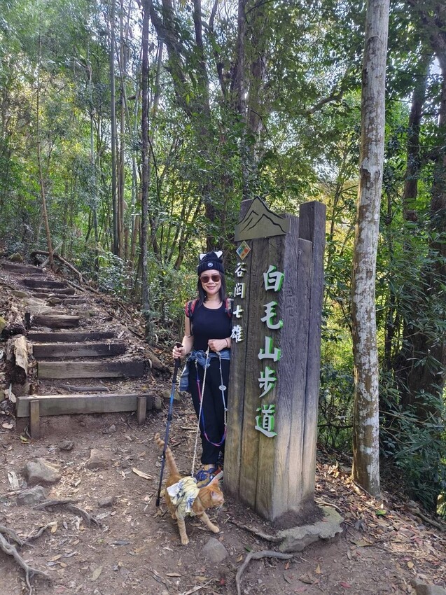 27676.jpg - 【台中.谷關】初次挑戰谷關七雄之一老六白毛山。山頂展望很棒。攜帶辛巴上山 27676.jpg - 【台中.谷關】初次挑戰谷關七雄之一老六白毛山。山頂展望很棒。攜帶辛巴上山