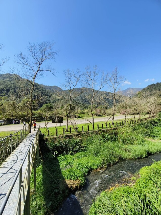 31112.jpg - 【宜蘭】松羅國家步道。平緩好走森林感十足。蕨類植物超級多像隧道的場景超好拍