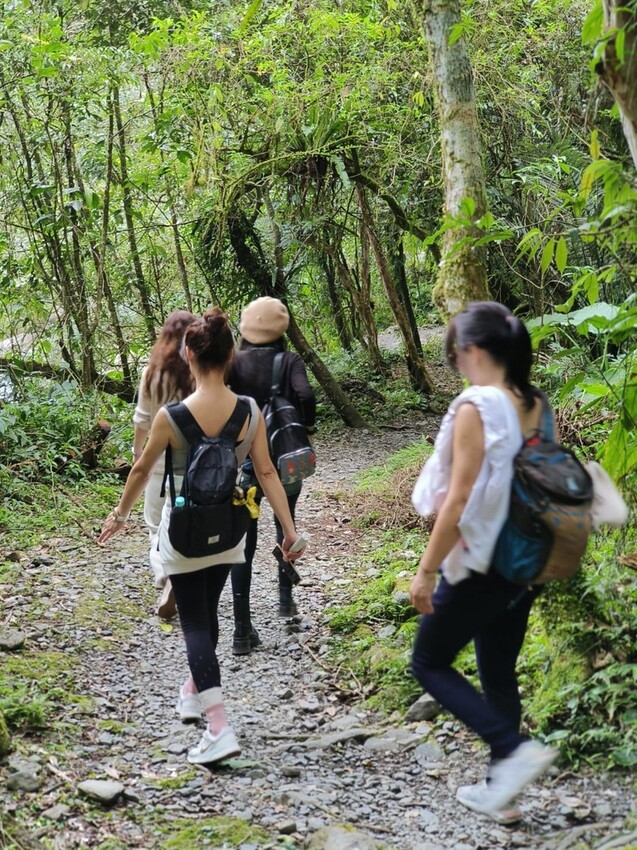 31404.jpg - 【宜蘭】松羅國家步道。平緩好走森林感十足。蕨類植物超級多像隧道的場景超好拍