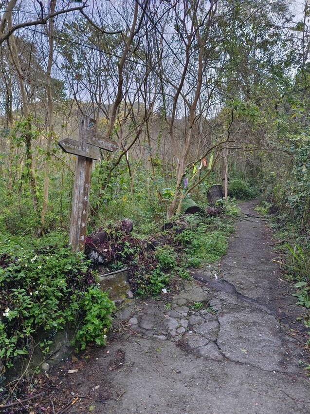 27682.jpg - 【台中.谷關】初次挑戰谷關七雄之一老六白毛山。山頂展望很棒。攜帶辛巴上山 27682.jpg - 【台中.谷關】初次挑戰谷關七雄之一老六白毛山。山頂展望很棒。攜帶辛巴上山