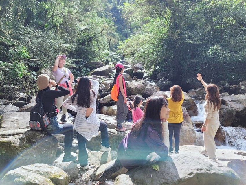 31445.jpg - 【宜蘭】松羅國家步道。平緩好走森林感十足。蕨類植物超級多像隧道的場景超好拍