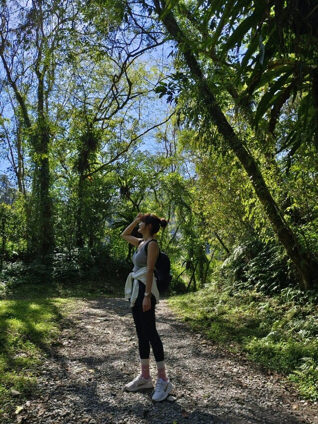 31433.jpg - 【宜蘭】松羅國家步道。平緩好走森林感十足。蕨類植物超級多像隧道的場景超好拍