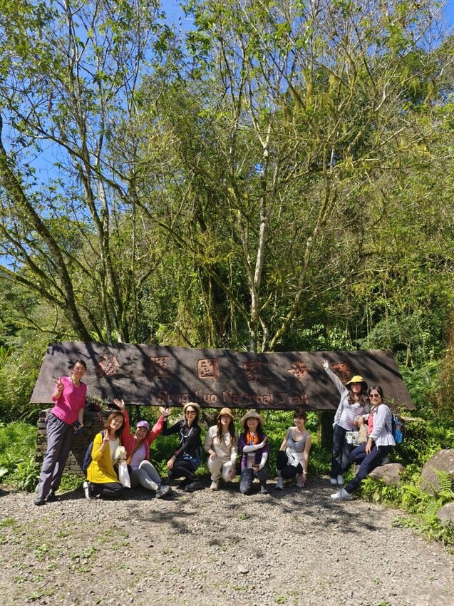 31437.jpg - 【宜蘭】松羅國家步道。平緩好走森林感十足。蕨類植物超級多像隧道的場景超好拍