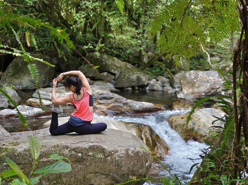 31408.jpg - 【宜蘭】松羅國家步道。平緩好走森林感十足。蕨類植物超級多像隧道的場景超好拍