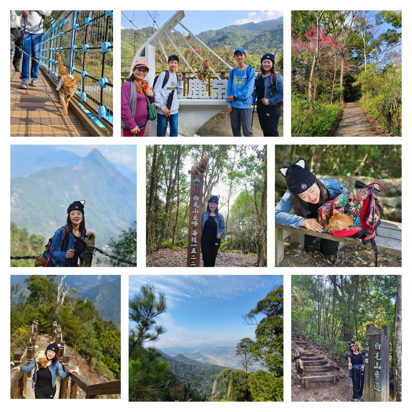 27648.jpg - 【台中.谷關】初次挑戰谷關七雄之一老六白毛山。山頂展望很棒。攜帶辛巴上山 27648.jpg - 【台中.谷關】初次挑戰谷關七雄之一老六白毛山。山頂展望很棒。攜帶辛巴上山