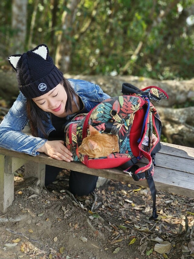 27656.jpg - 【台中.谷關】初次挑戰谷關七雄之一老六白毛山。山頂展望很棒。攜帶辛巴上山 27656.jpg - 【台中.谷關】初次挑戰谷關七雄之一老六白毛山。山頂展望很棒。攜帶辛巴上山