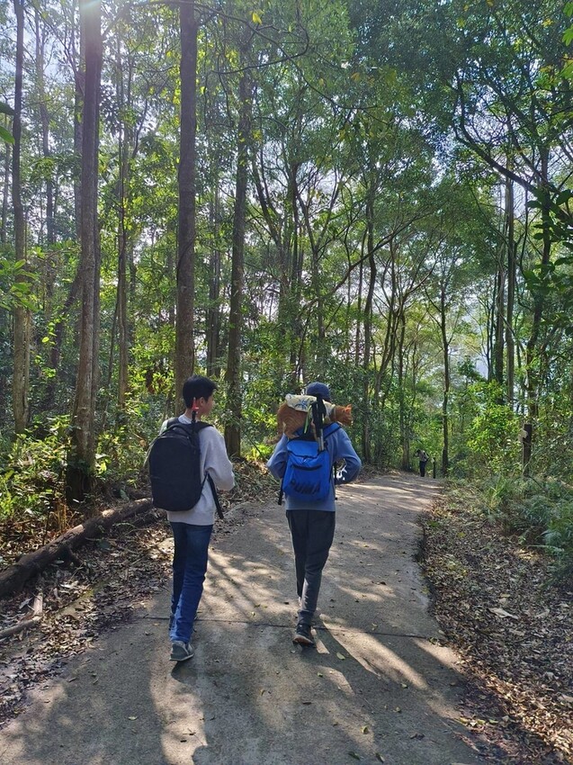 27653.jpg - 【台中.谷關】初次挑戰谷關七雄之一老六白毛山。山頂展望很棒。攜帶辛巴上山 27653.jpg - 【台中.谷關】初次挑戰谷關七雄之一老六白毛山。山頂展望很棒。攜帶辛巴上山