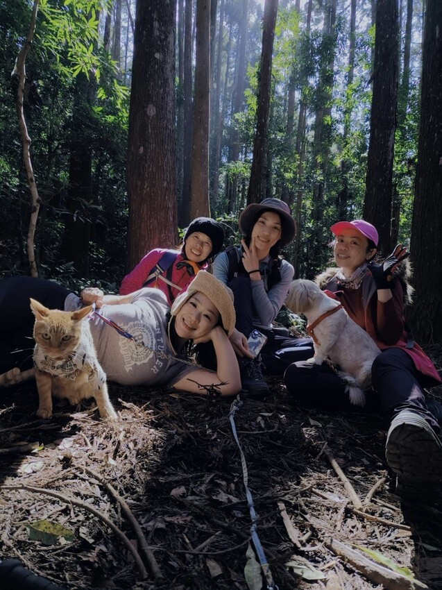 34674.jpg - 【新竹.五峰】油羅山標高1764公尺中級山。林相很美媲美高島三角點無展望。陡上陡下頗濕滑不適合帶寵物 34674.jpg - 【新竹.五峰】油羅山標高1764公尺中級山。林相很美媲美高島三角點無展望。陡上陡下頗濕滑不適合帶寵物