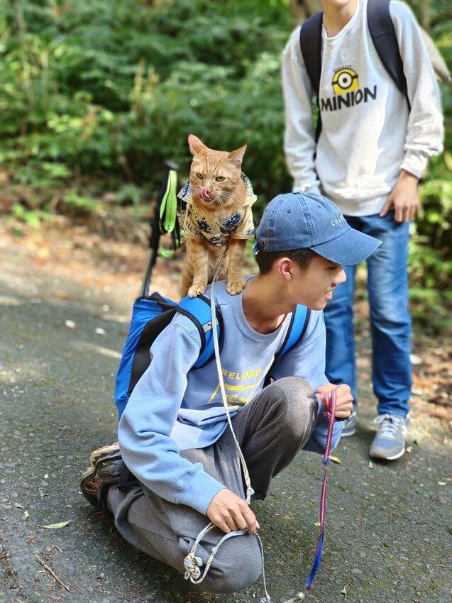 27652.jpg - 【台中.谷關】初次挑戰谷關七雄之一老六白毛山。山頂展望很棒。攜帶辛巴上山 27652.jpg - 【台中.谷關】初次挑戰谷關七雄之一老六白毛山。山頂展望很棒。攜帶辛巴上山