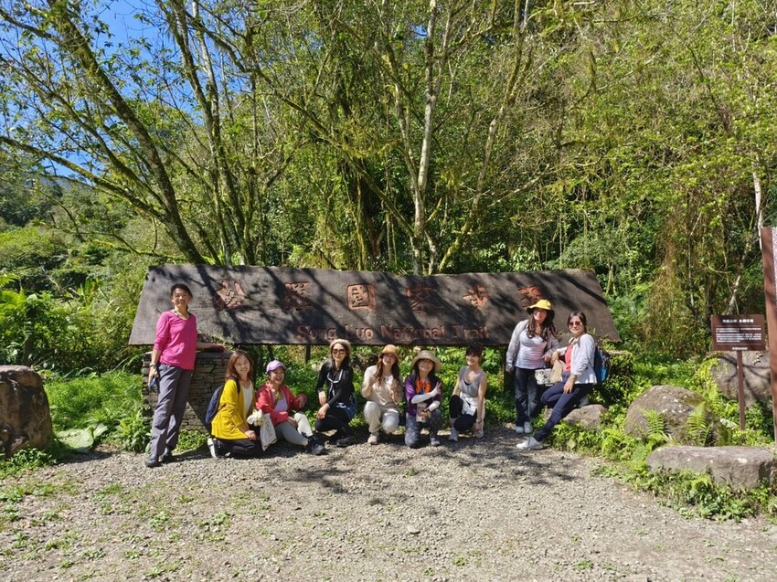 31436.jpg - 【宜蘭】松羅國家步道。平緩好走森林感十足。蕨類植物超級多像隧道的場景超好拍