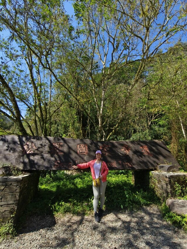 31435.jpg - 【宜蘭】松羅國家步道。平緩好走森林感十足。蕨類植物超級多像隧道的場景超好拍